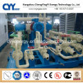 CNG25 Skid-Mounted Lcng CNG LNG Combination Station Filling